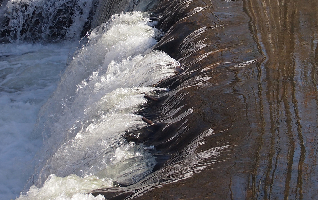 Asigned Subject In Class A By Karen Foster For Millpond Falls MAY-2019.jpg